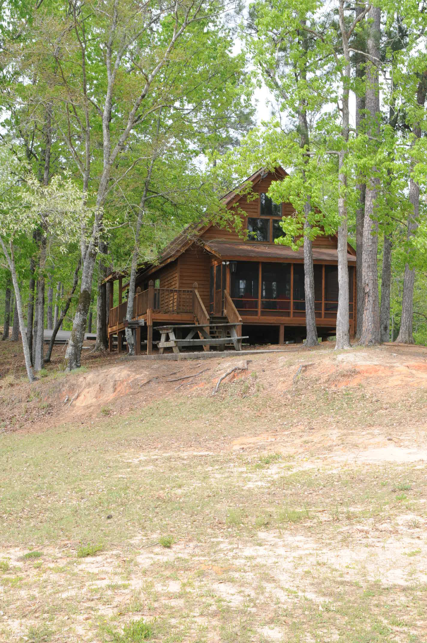 Large Cabins