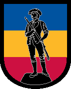 154th Regiment - Shoulder Sleeve Insignia